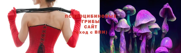крисы Магадан