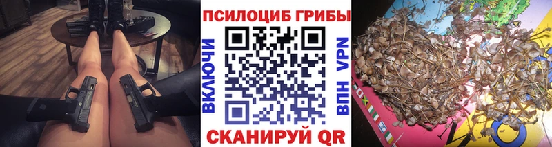 Псилоцибиновые грибы MAGIC MUSHROOMS  MEGA ССЫЛКА  Мосальск  где найти наркотики 